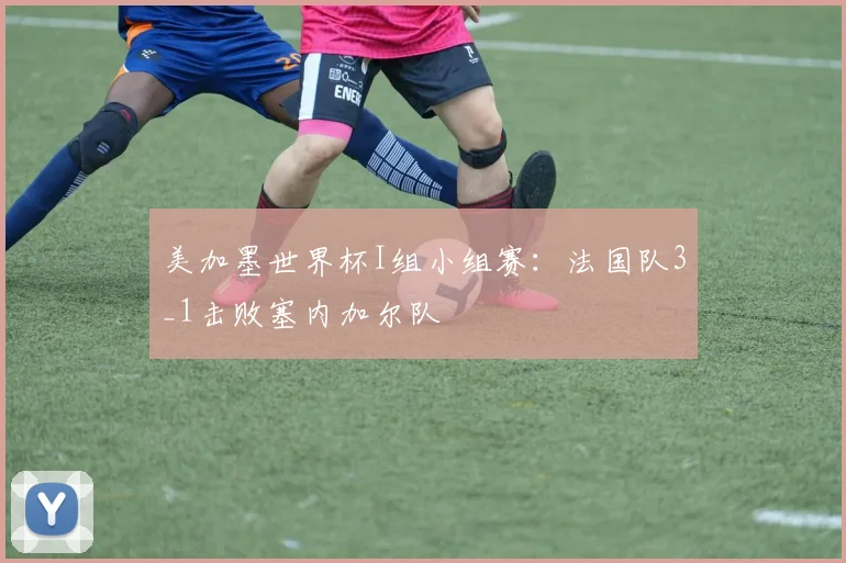 美加墨世界杯I组小组赛：法国队3_1击败塞内加尔队